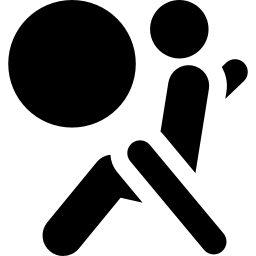 Sistemas de Retención Suplementaria